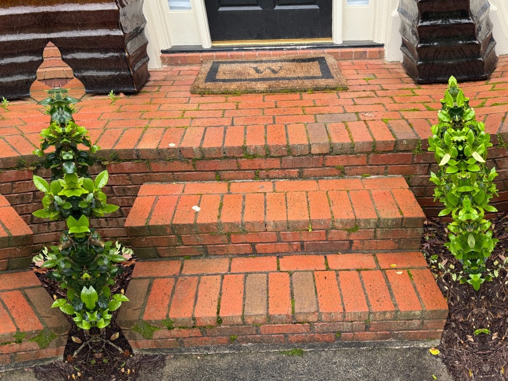 Before brick and paver wash: moss and discoloration on brick steps and pavers