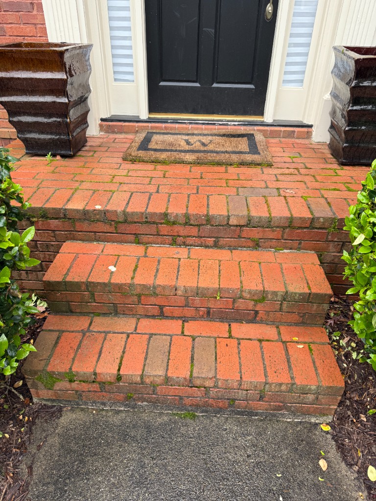 Before brick and paver wash: moss and discoloration on brick steps and pavers