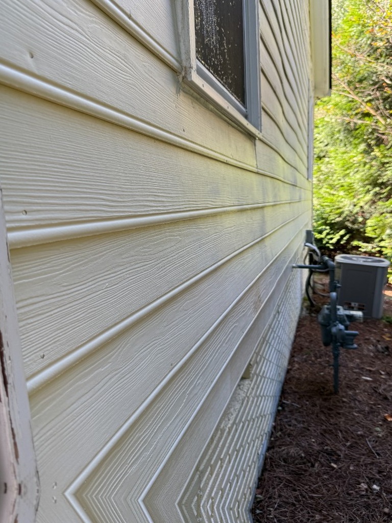 Before house siding soft wash: algae and grime streaks on siding