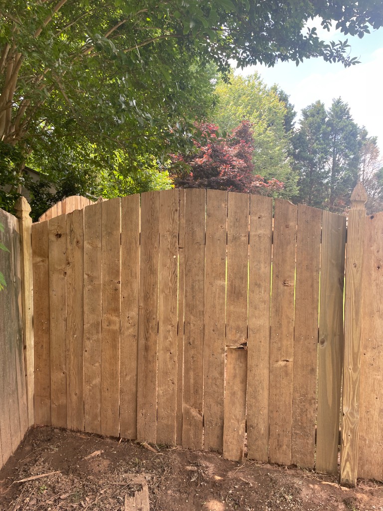 After fence wash: cleaned wood fencing