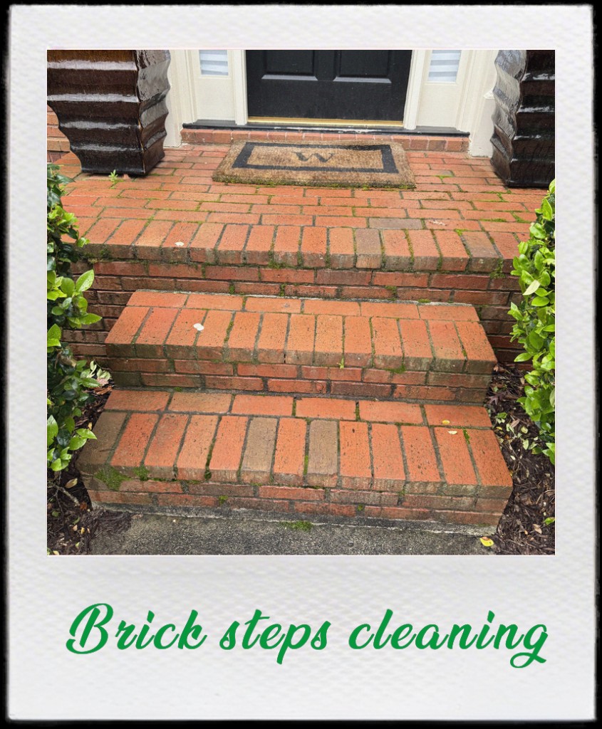 Brick front steps and entry washed clean with even mortar lines.