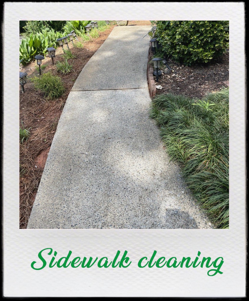 Driveway pressure washing