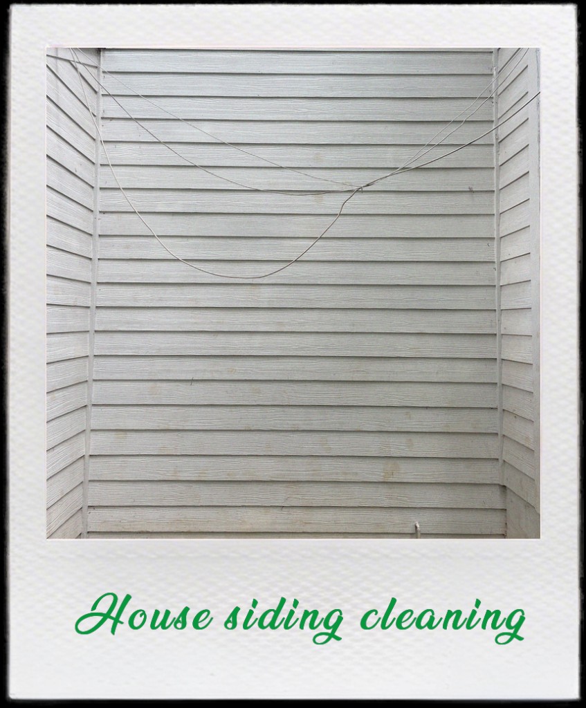 House siding cleaning