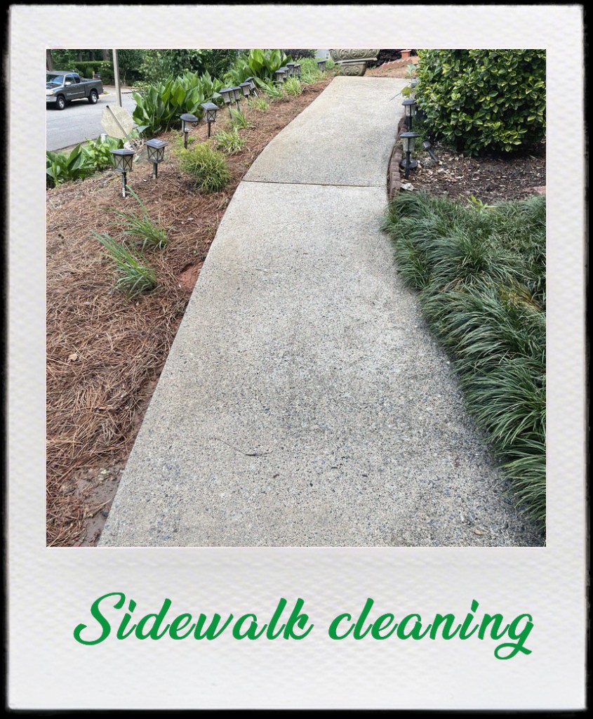 Freshly pressure-washed sidewalk and walk beside a residential home.